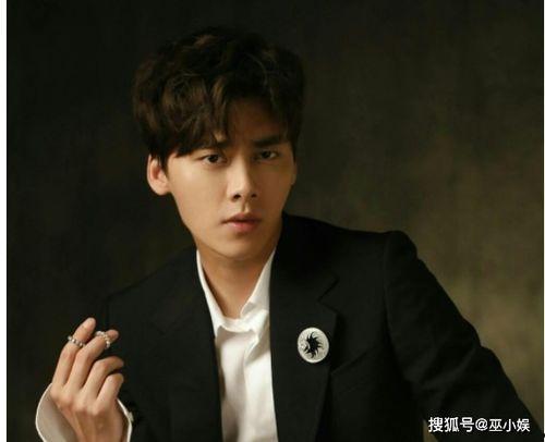 罗百万爆料李易峰视频,揭秘娱乐圈背后的真相  第3张